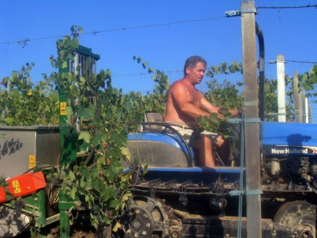 VLUU L100, M100 / Samsung L100, M100