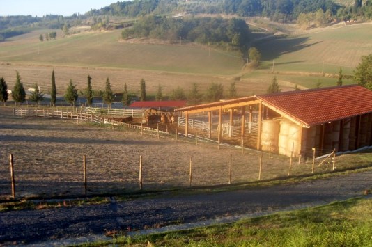 VLUU L100, M100 / Samsung L100, M100